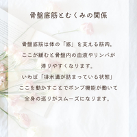 画像334