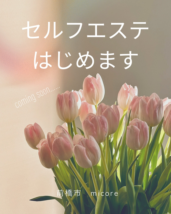 画像404